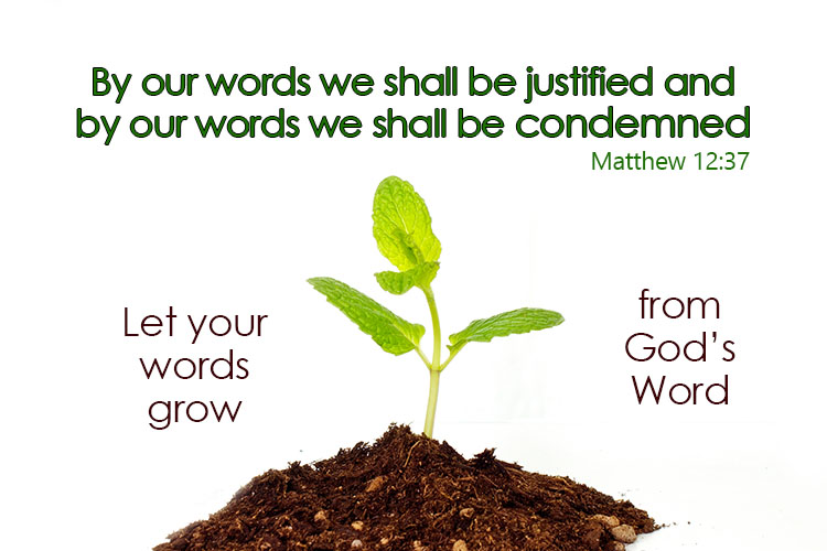 Let your words grow from Gods word