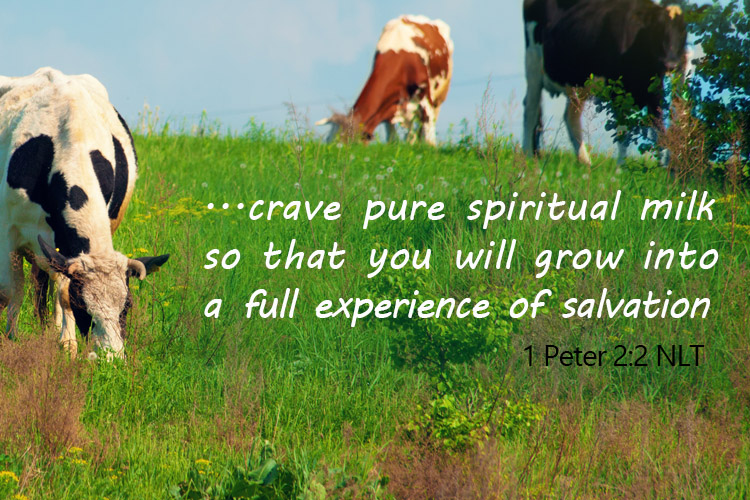 crave spiritual milk so that you will grow into a full experience of salvation
