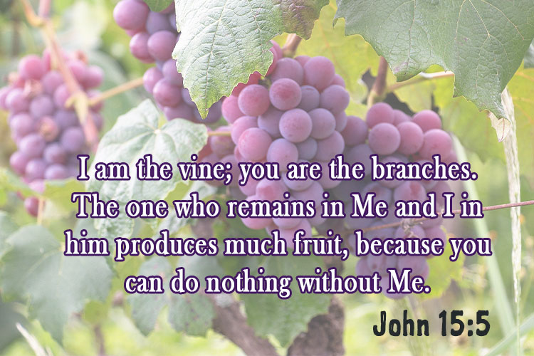 I am the vine; you are the branches. The one who remains in Me and I in him produces much fruit, because you can do nothing without Me. ~ John 15:5