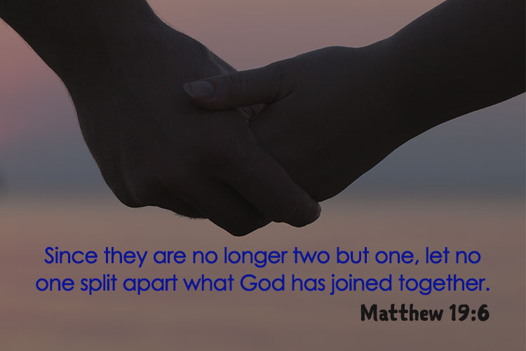 Since they are no longer two but one, let no one split apart what God has joined together.