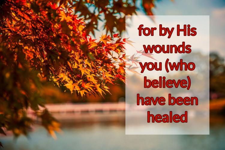 for His wounds you (who believe) have been healed
