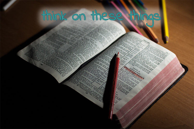 renew your mind with The Word